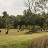 5 Stand Course
